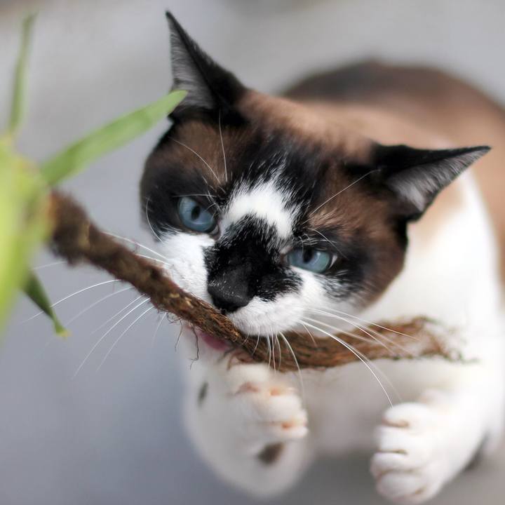 1fc651aa cb35 4218 8cef b1d2b3e4af75