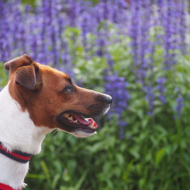 1fc67b21 5c7a 4851 b384 ca31ed83f795