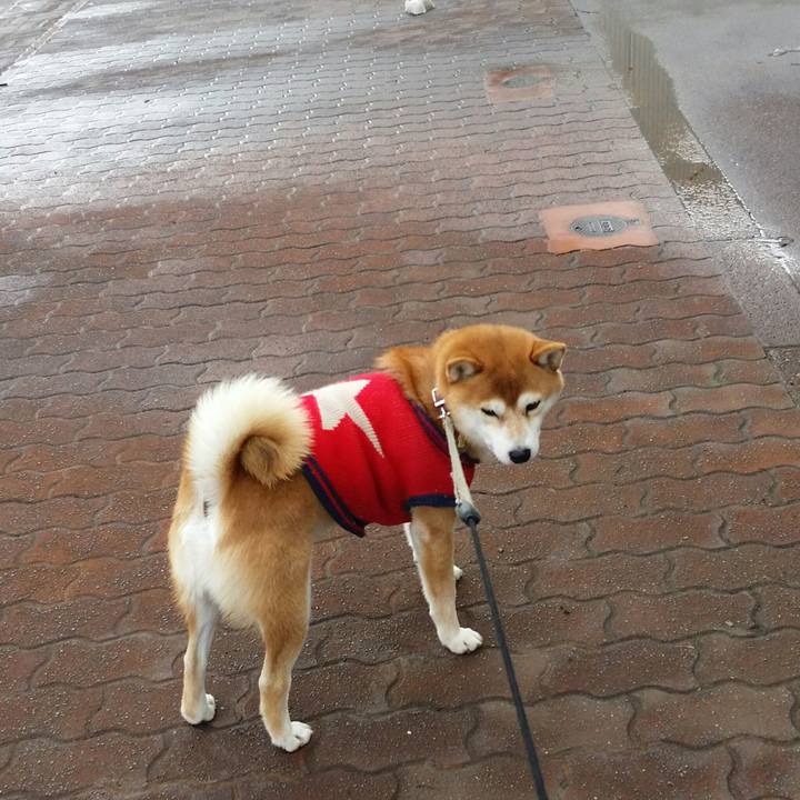 1fc682c8 af71 4915 8a38 3c0cd0c91bab