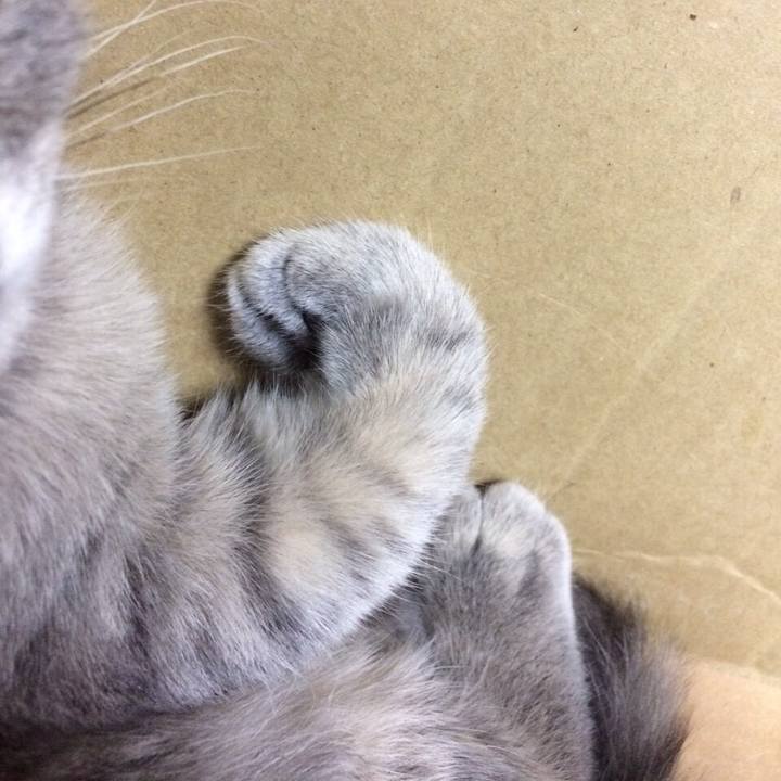 1fc6b4c8 ea24 4356 be5e e7489df29d7a