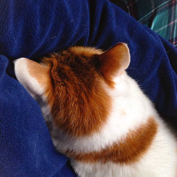 1fc6c103 7cd0 4c70 bcf6 ff51f917d61f