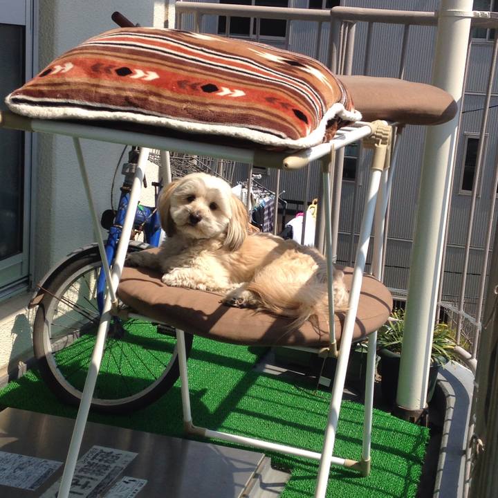 1fc7b06f aab6 4654 b3c9 9281781eeca8