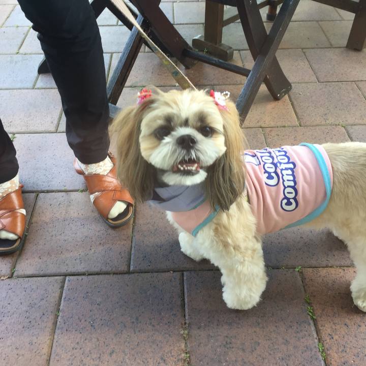 1fc8495d de61 4e27 8de5 6c1923143b4c