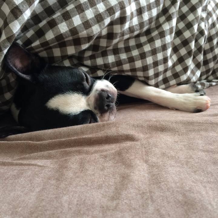 1fc8593e 0f7b 4ed2 896a d914d8cb12d0