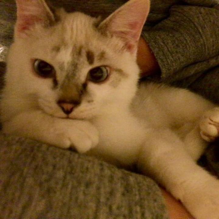 1fc8ad62 9330 496b b314 fe4d5c6e3381