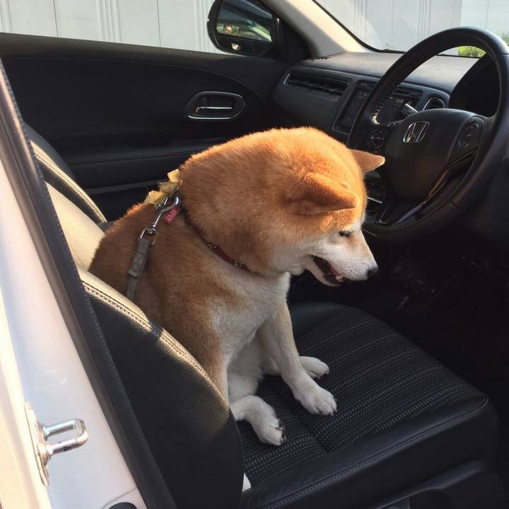 1fc8c01e 48b7 4117 a771 46ec0df6c4ba