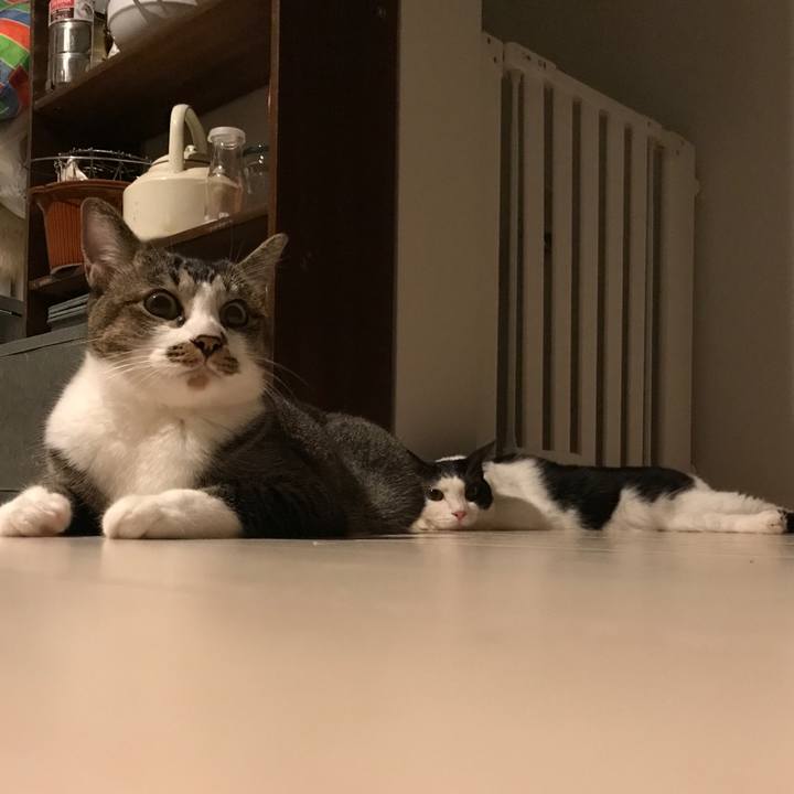 1fc8ec6d 450d 4a5e 931d d88bf5d27c18