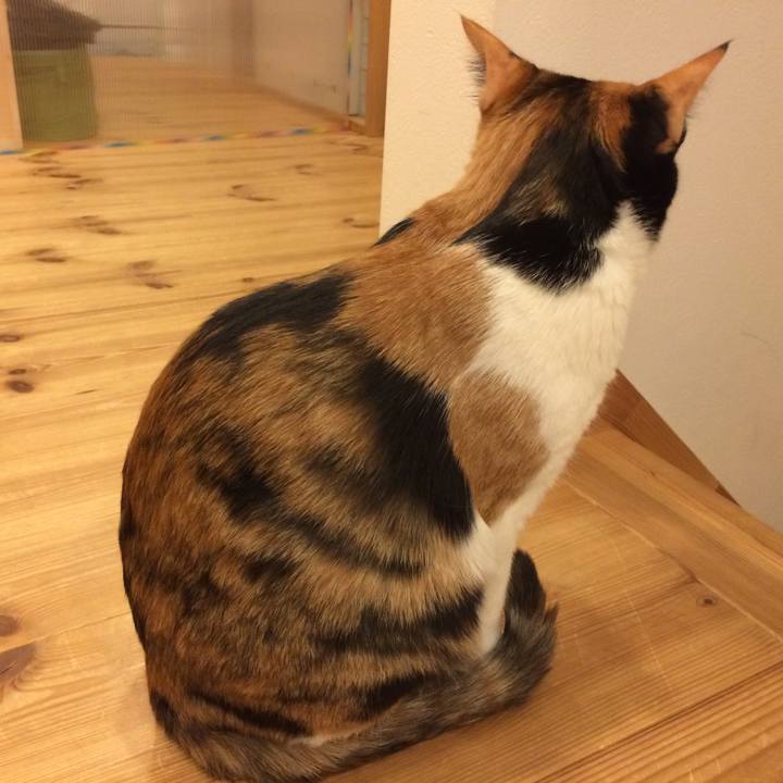 1fcab132 878a 4b6d bdfa 139fb8ac25a5