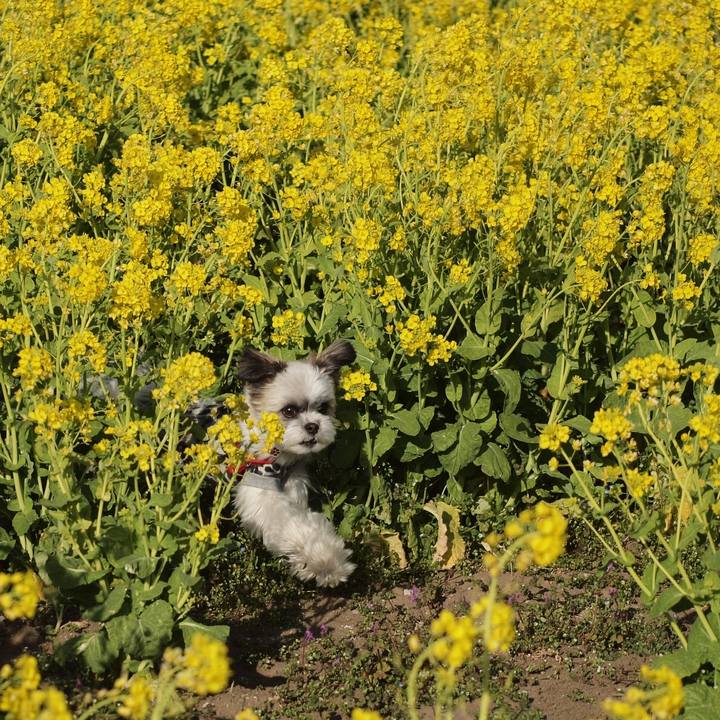 1fcadc90 c8a2 49f4 948b e335fb8b64ca