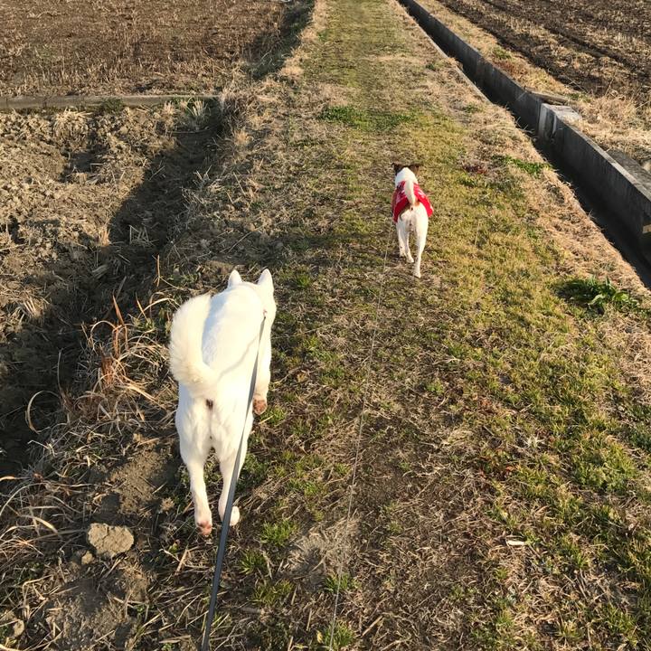 1fcaeecd ca36 4b26 b4ed 61297ae2eaa8