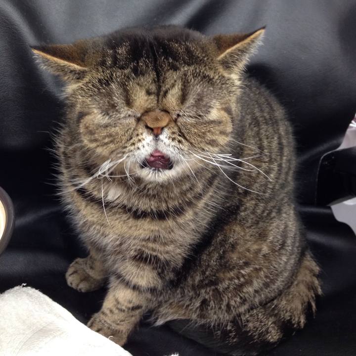 1fcb24bb 24f2 4d4d 8e5d ee6b78879a4b