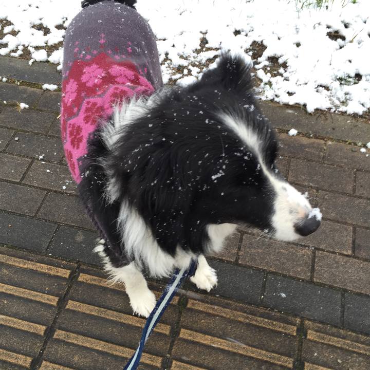 1fcb98b2 05d1 4147 a690 1d320932c3f0