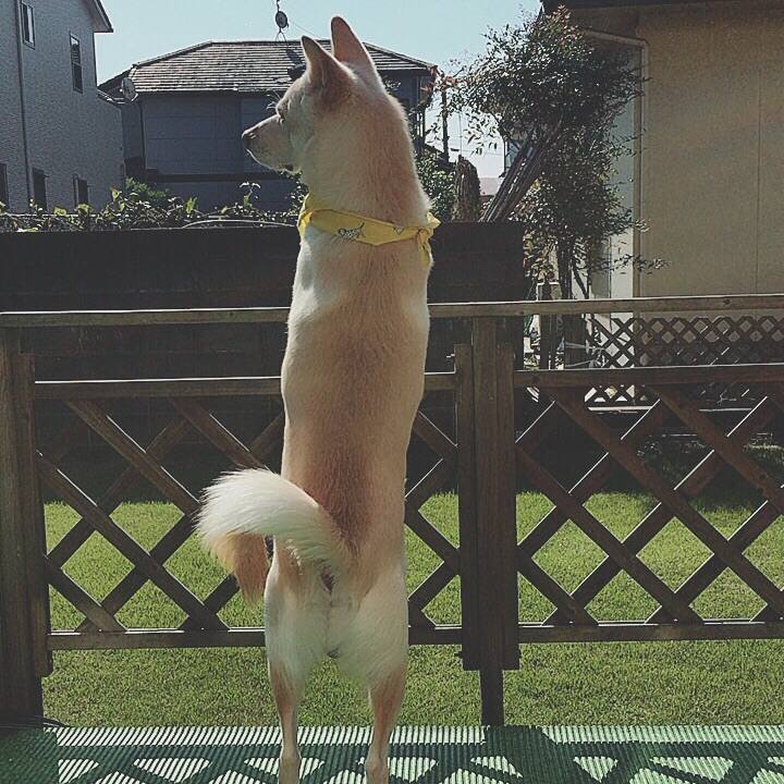 1fcc1ca1 9355 4ccc 94ef ad382b687f70