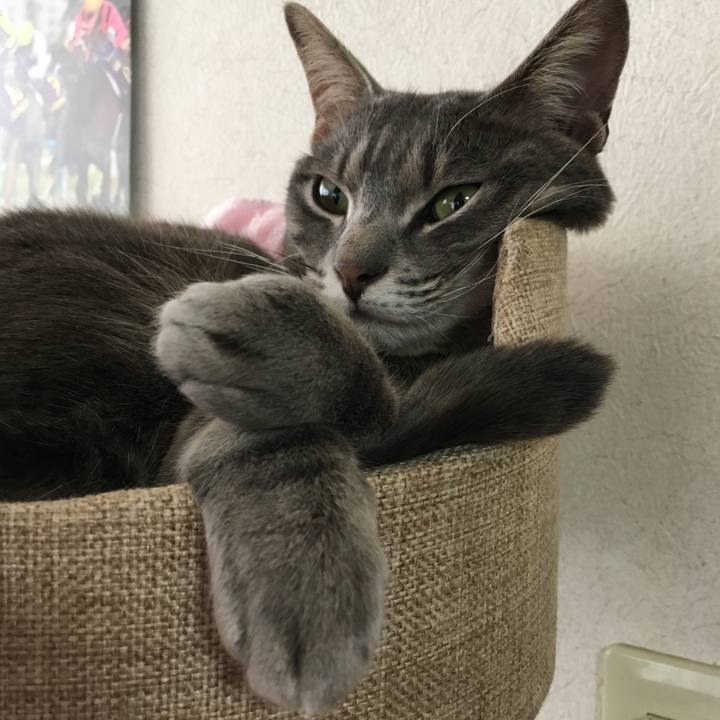 1fcc5b57 90a4 4aa0 820b 3471f0883c9d