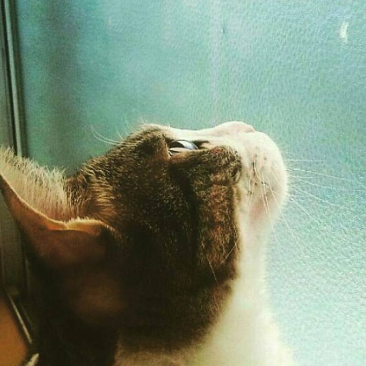 1fcc9b08 d407 4c15 97d2 21d969c4bc50