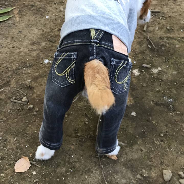 1fcca5a2 3649 4b8e 9a59 b28347dcf9c1