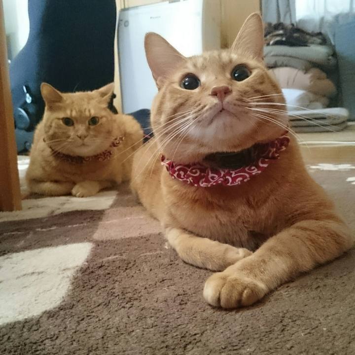 1fccf0c3 359e 4e93 ba58 829341c6e398