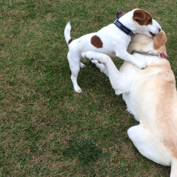 1fcd3ac1 fa5f 4d5c a6f8 6d9c69cb556f