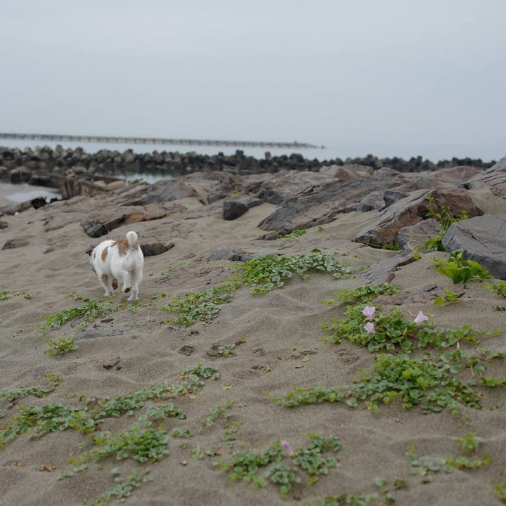 1fce25f7 363f 4f45 af4d 242dde17fdf6