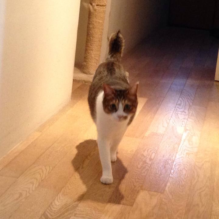 1fce2643 61da 4d2f bdaa 006723a3f0f5