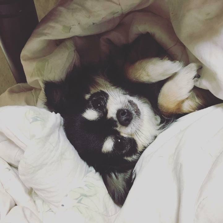 1fd02fbd 87cc 4738 ad5e 5e488531a58e