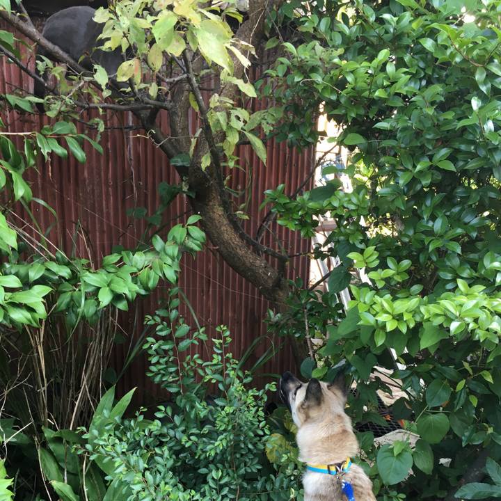 1fd0766b c2e0 4a42 b1d1 347290081e8e