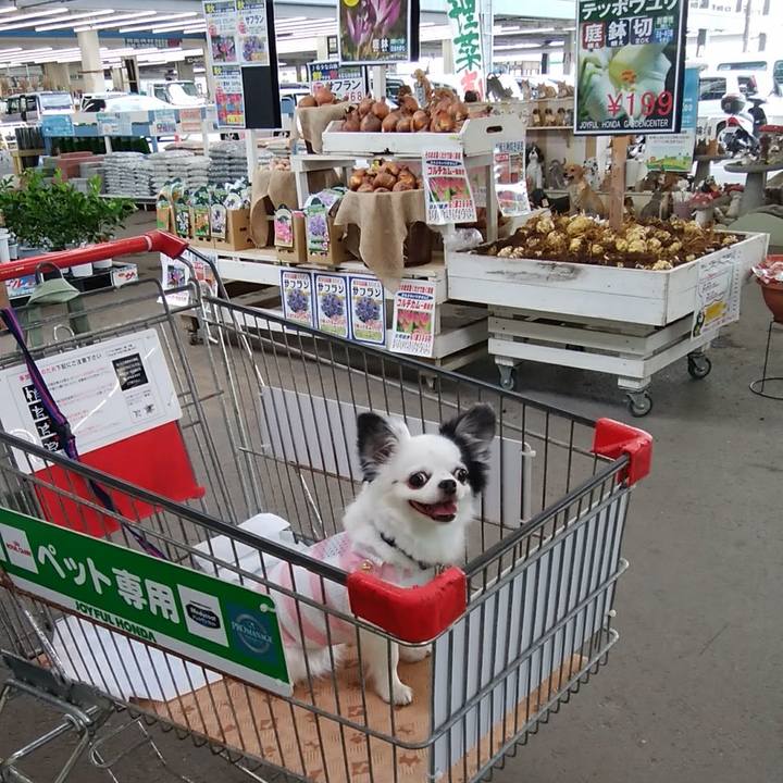 1fd2a2b7 80a8 40ff a86a 6ea3a3c91b11