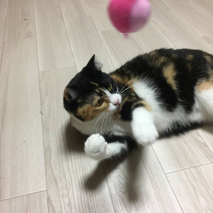 1fd2bfd2 ef93 41de 89de 2d91d8119fb0