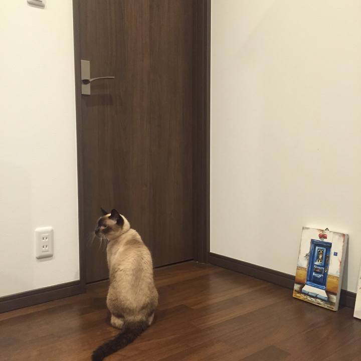 1fd2c426 3a65 4fef a87e fdbdedd2e5b9