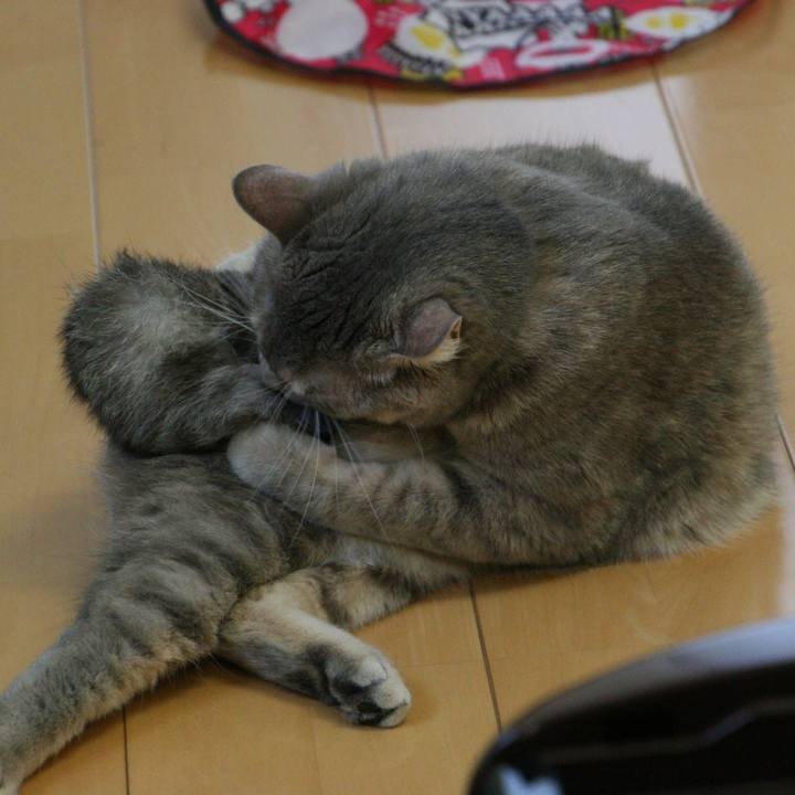 1fd3abe3 44bb 4f99 afe2 18b09c2d83b4