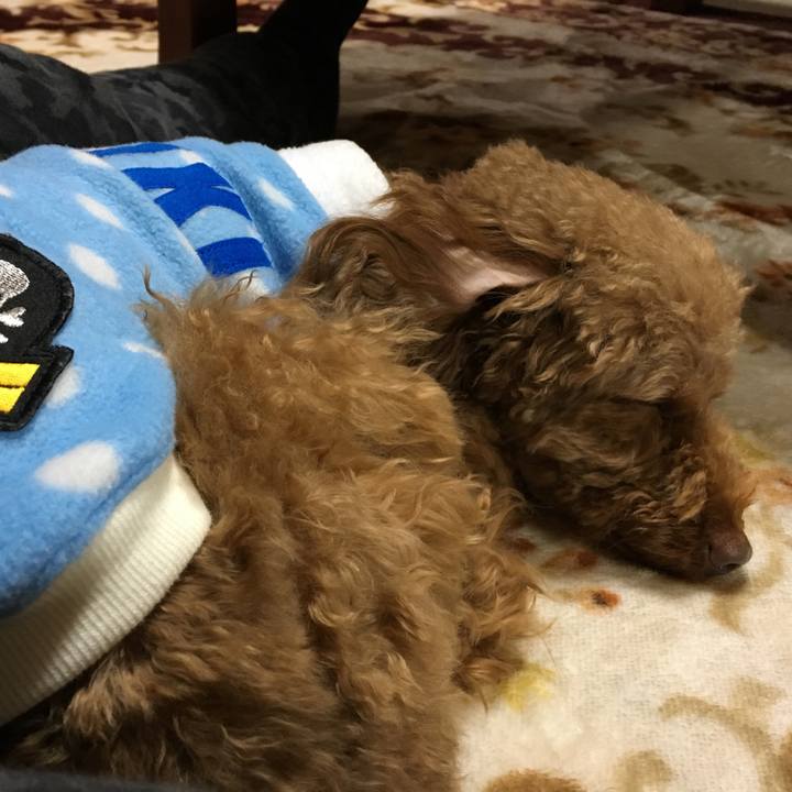 1fd3aec2 a055 4044 92ab 274044c643cd