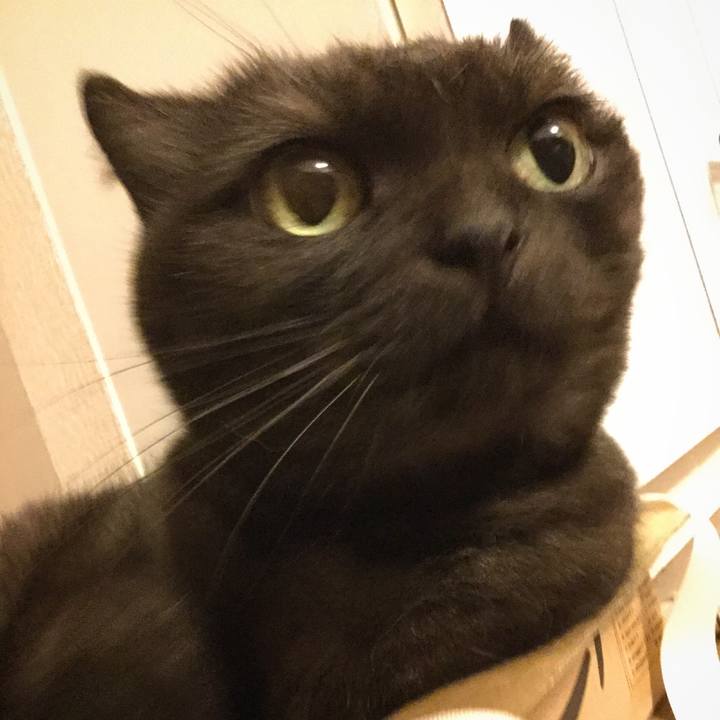 1fd402e2 5394 40ec 908d 6881f65392c1