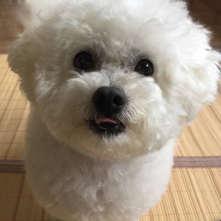 1fd469b8 13d2 4660 aded f15666452b6d