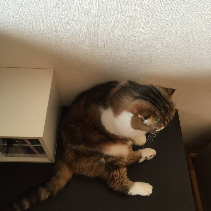 1fd4baae 2ac6 4a30 9fe9 56455ef2b59e