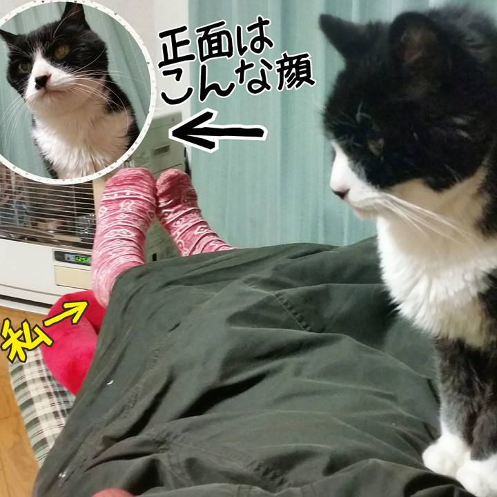 1fd4f084 2cb3 4ecf b861 50d38c8789a1