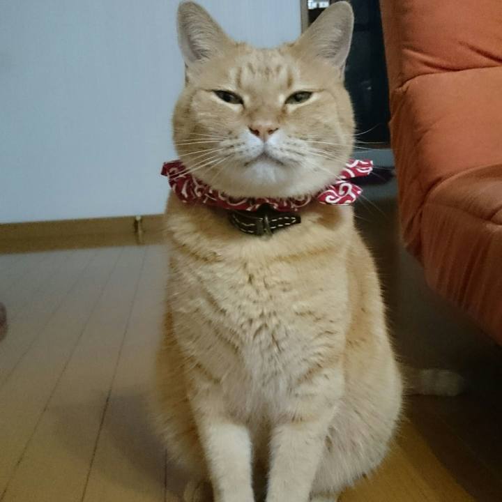 1fd6c750 4159 4cb8 9143 05a253bbe031