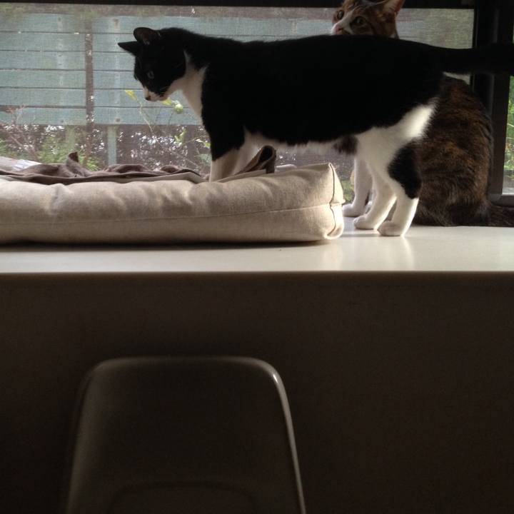 1fd7488e e494 44bb 8f03 6fd683f2b7b1