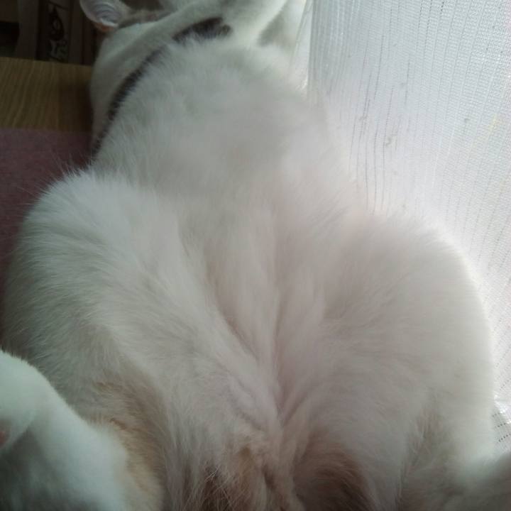 1fd748f4 9ae7 403f 8440 c9239258bfdb