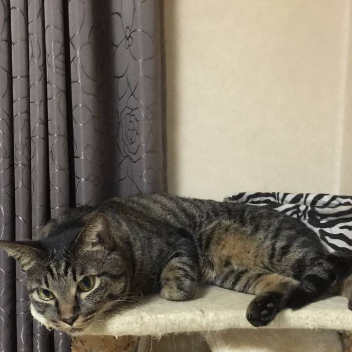 1fd74936 8e32 433f 9c58 f7389d5352fb