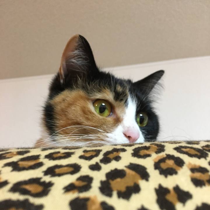 1fd84ba6 67bd 476d a08a a5cd1f8371bb