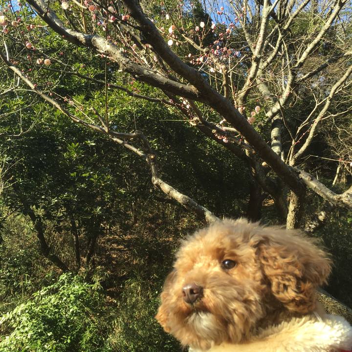 1fd863e2 74b3 49a8 ba0f 776af7cfb80f