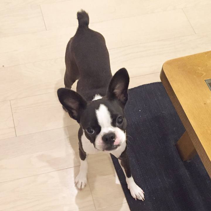 1fd87445 5cf6 4361 89d2 4e7c006193c3