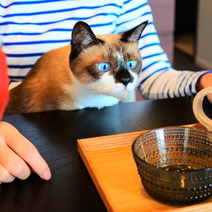 1fd89d29 ae98 404c 94db 23e4da3686b7