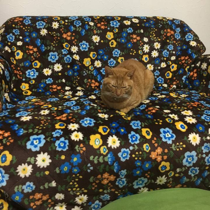 1fd8fb1a b35b 4586 8ebf 5f58f8775b5e