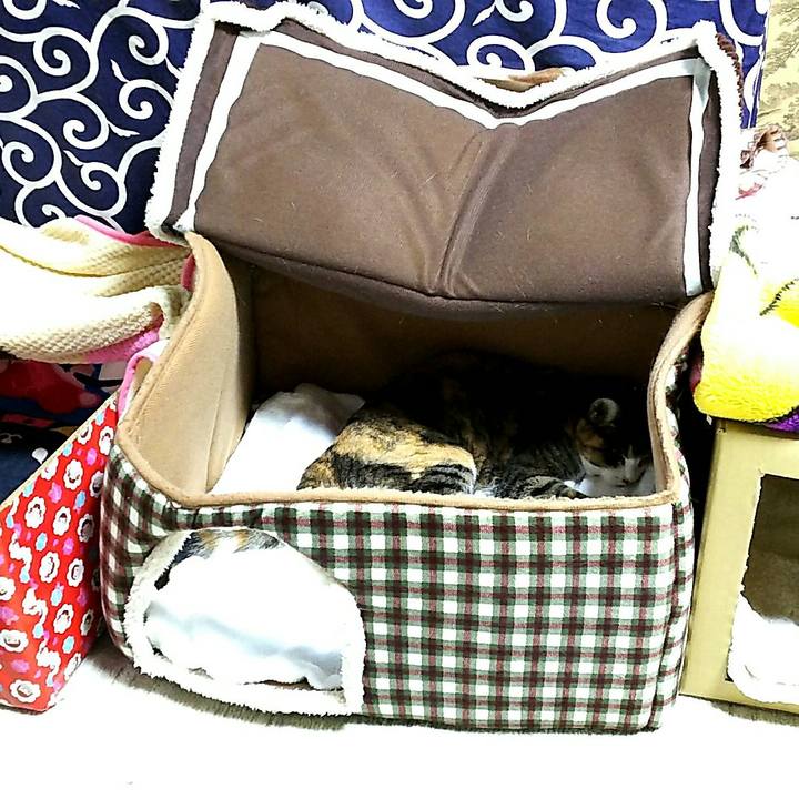 1fd921dc e28f 45dc aa6e 2a3c21b8761d