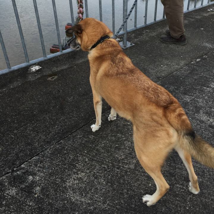 1fda586c de91 411b a91c 8f9a8b3b54ff