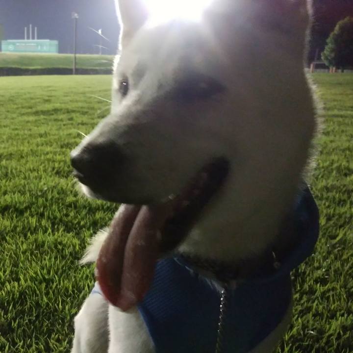 1fdb4a25 e3ac 4fab 889f da0688206e03