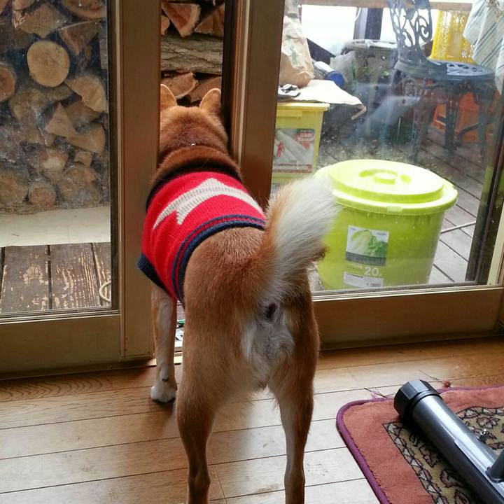 1fdb82f0 26f3 4685 8e27 4372fb4c0448