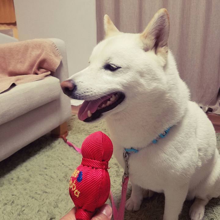 1fdb84a3 1186 4582 9bbf b9be404ab271