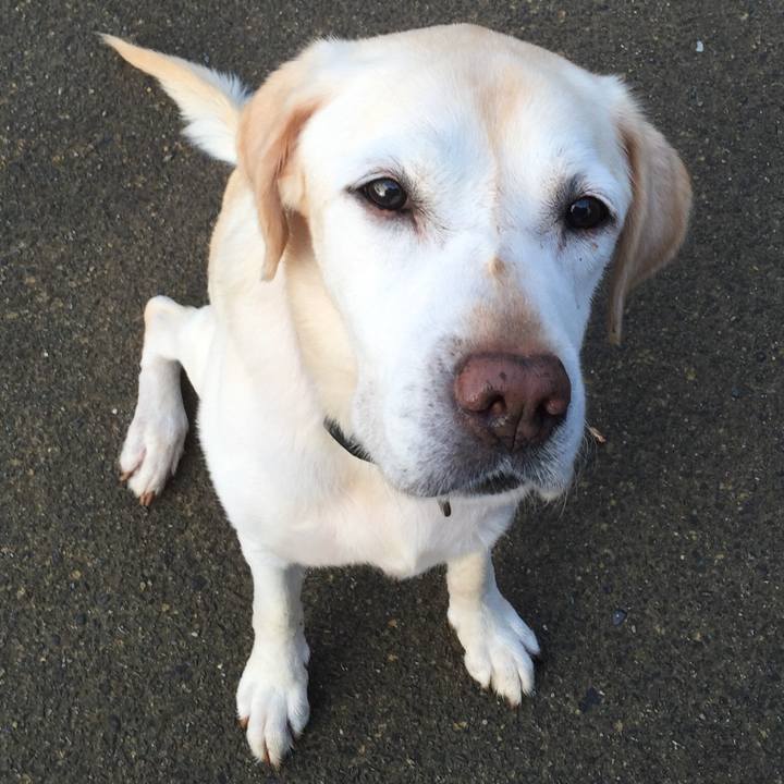 1fdba601 c996 49b9 95da 8848c114c9de